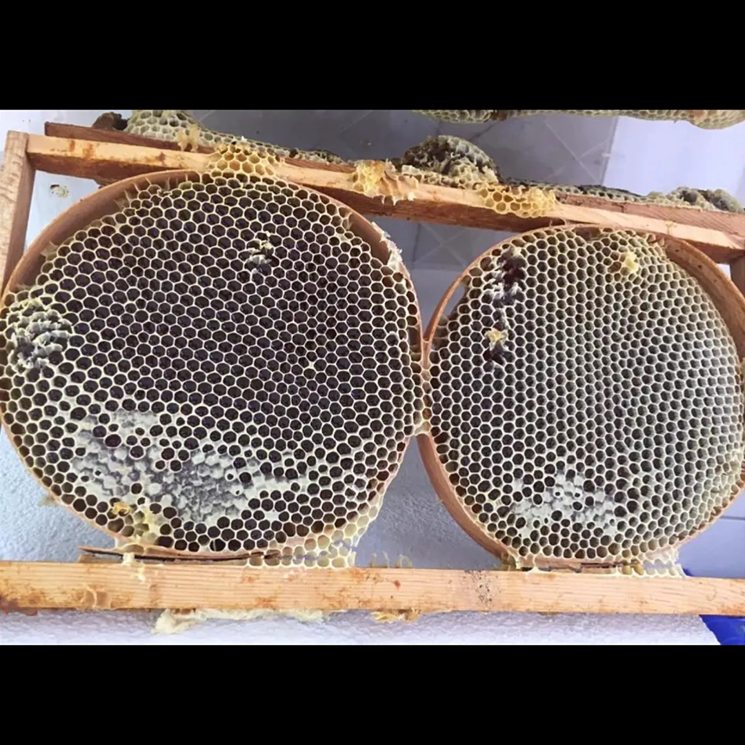 Round Honeycomb Honey | গোল চাক মধু - Image 3