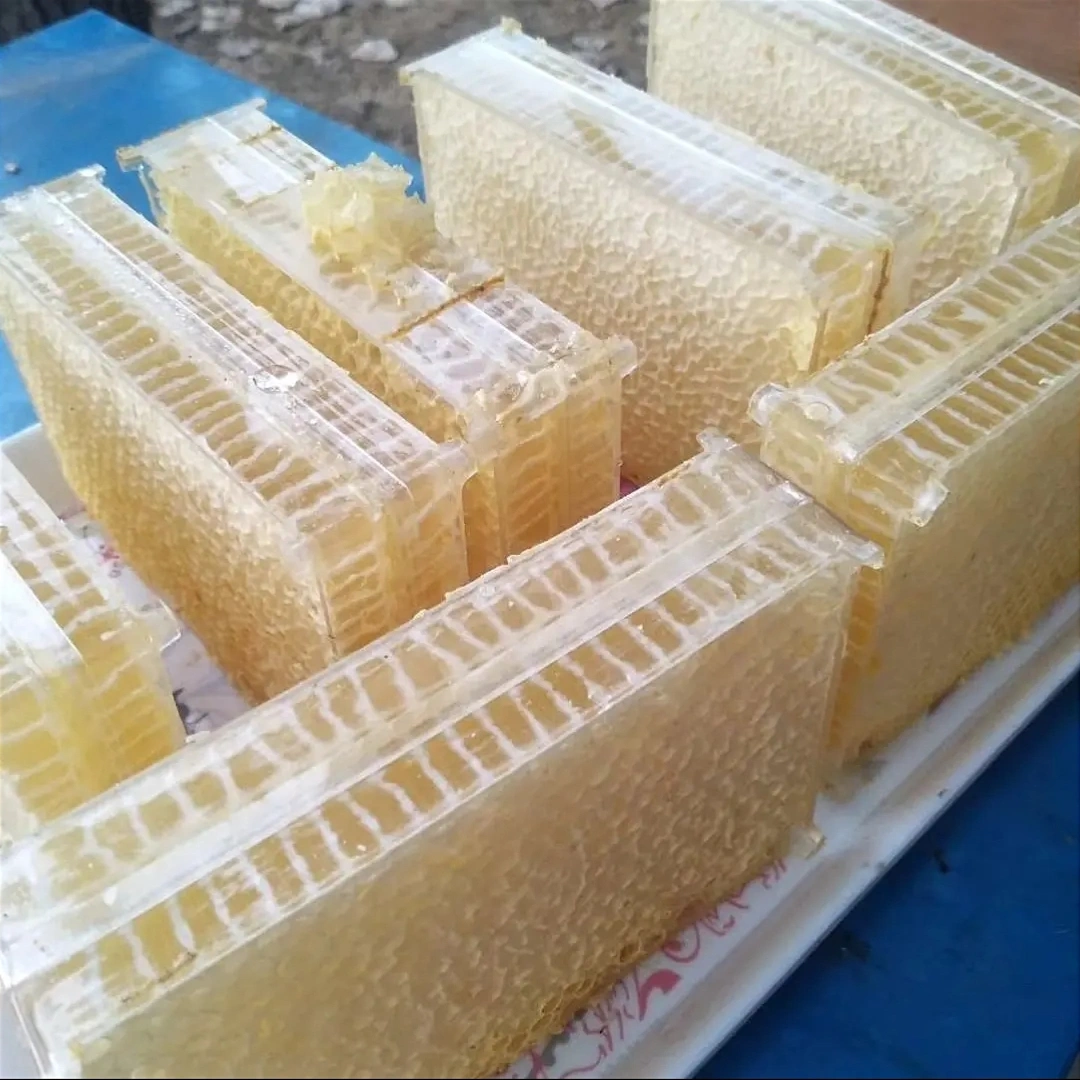 Imported Honeycomb 500g | ইমপোর্টেড হানি কম্ব 500g - Image 4