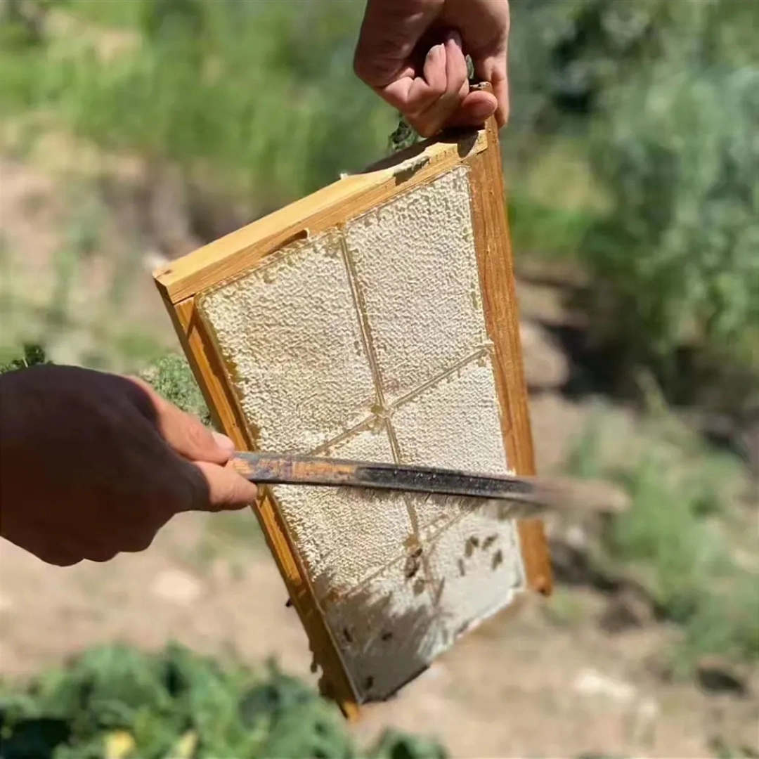 Natural Honeycomb Honey | ন্যাচারাল হানিকম্ব - Image 3