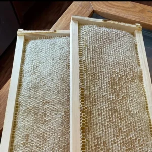 Long Honeycomb Honey | লম্বা চাক মধু