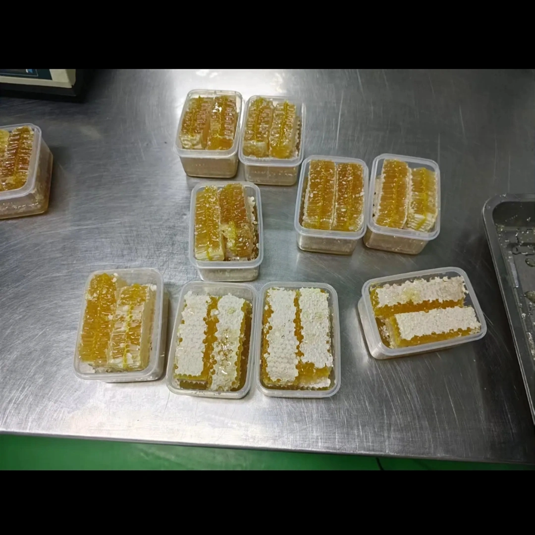 Imported Honeycomb 500g | ইমপোর্টেড হানি কম্ব 500g - Image 2